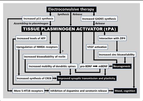 Tissue plasminogen activator therapeutic window